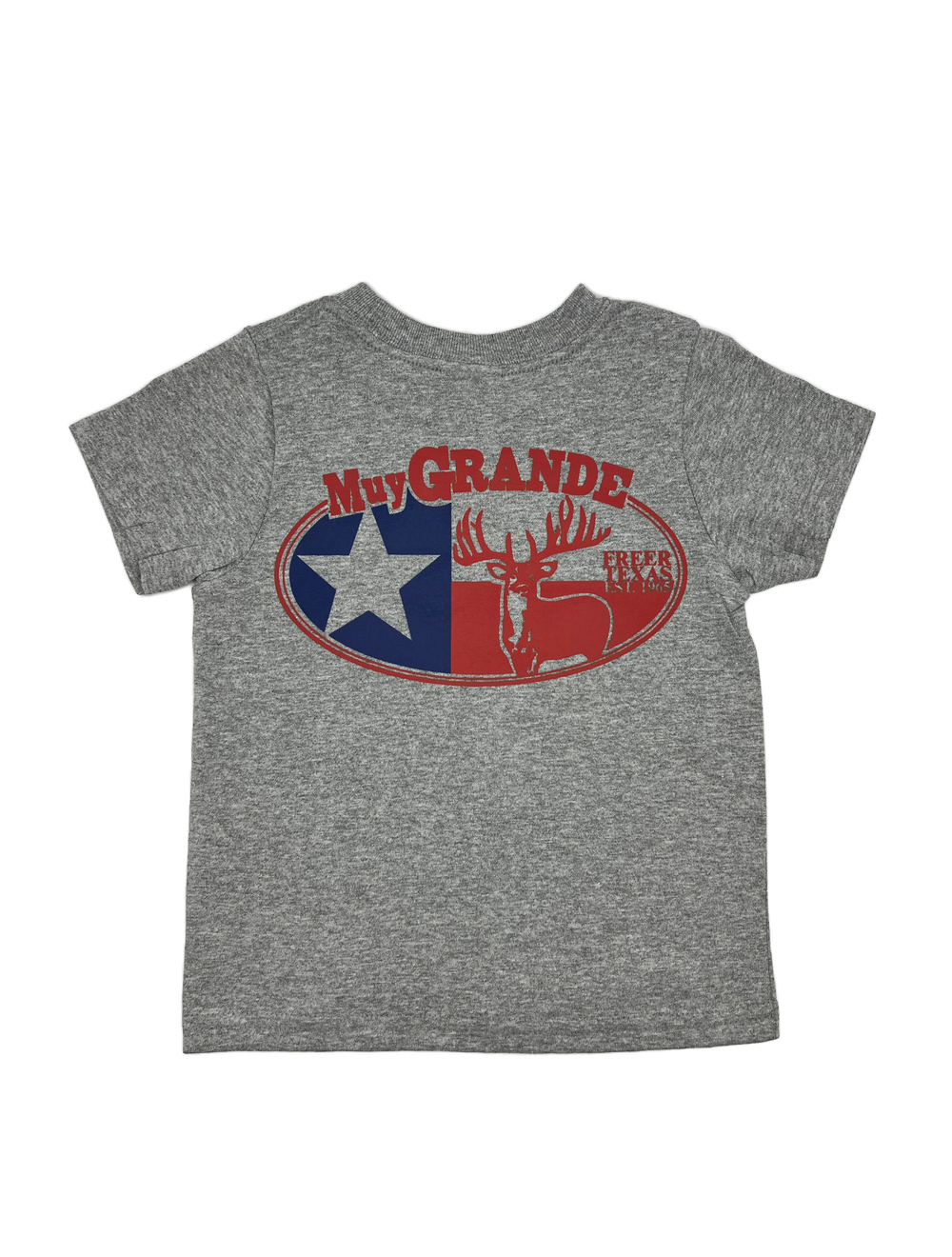 Toddler Throwback Texas T-Shirt - Gray